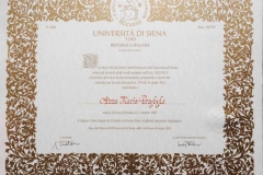 Universita-di-Siena-copy